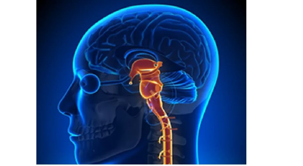 Neurosurgery Expertise, Services, and Facilities in Erode | Sri Vijaya Hitech Hospital
