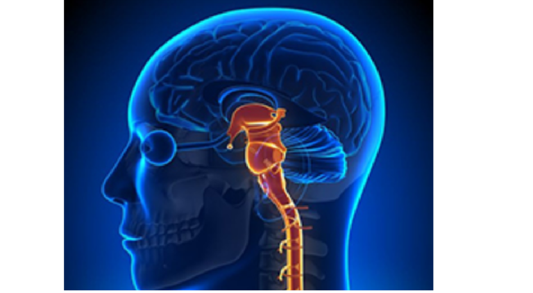 Neurosurgery Expertise, Services, and Facilities in Erode Sri Vijaya Hospitals